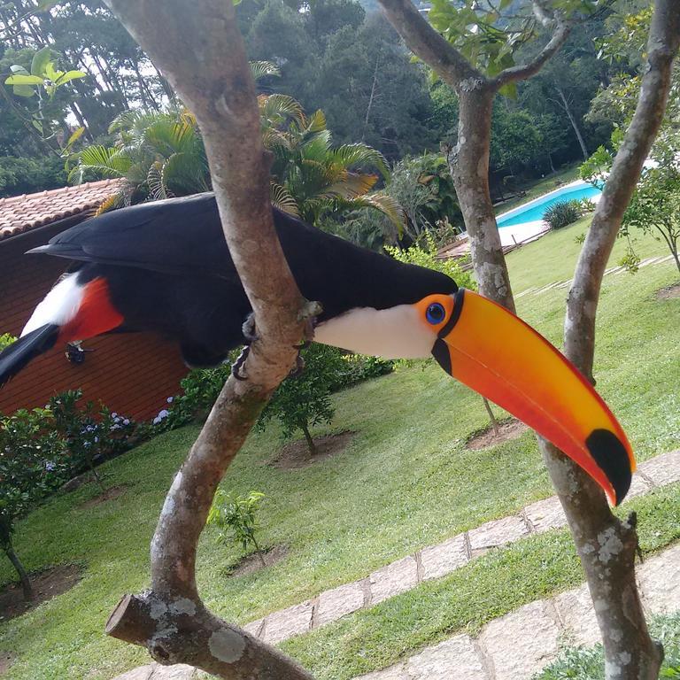 Pousada Tucano Do Cuiaba Itaipava Kültér fotó